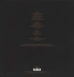 Steve Hillage-The Golden Vibe-LP (Vinyl)-02