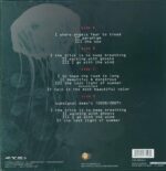 Subsignal-Beautiful & Monstrous-LP (Vinyl)-02