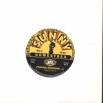 Sunny Domestozs-Personal Nightmare-7" Single (Vinyl)-01