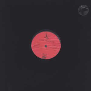 Teichmöwe-Teichmöwe-LP (Vinyl)-01