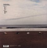 The Beta Band-Heroes To Zeros-LP (Vinyl)-02