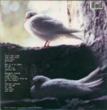 The Bevis Frond-It Just Is-LP (Vinyl)-02