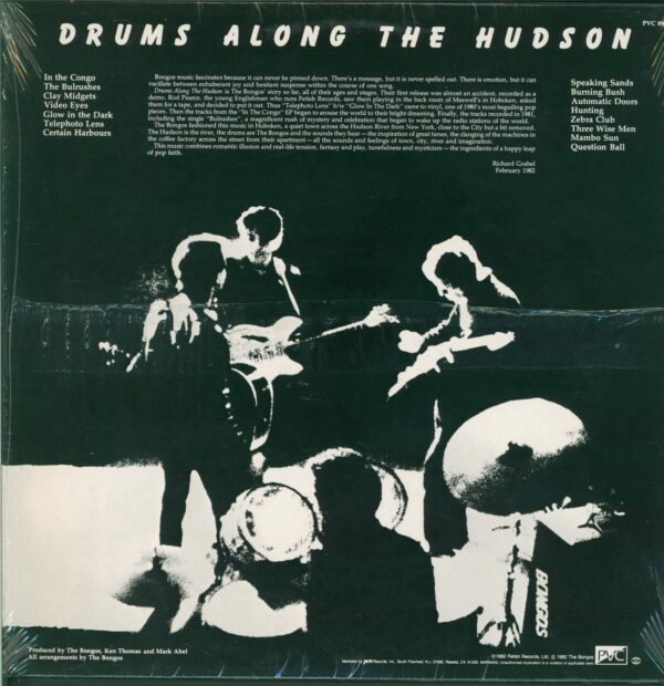 The Bongos-Drums Along The Hudson-LP (Vinyl)-02