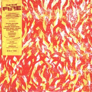 The Bug-Fire-LP (Vinyl)-01