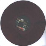 The Convocation Of-The Convocation Of...-LP (Vinyl)-03