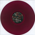 The Cranberries-In The End-LP (Vinyl)-03
