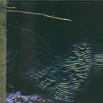 The Cranberries-To The Faithful Departed-LP (Vinyl)-02