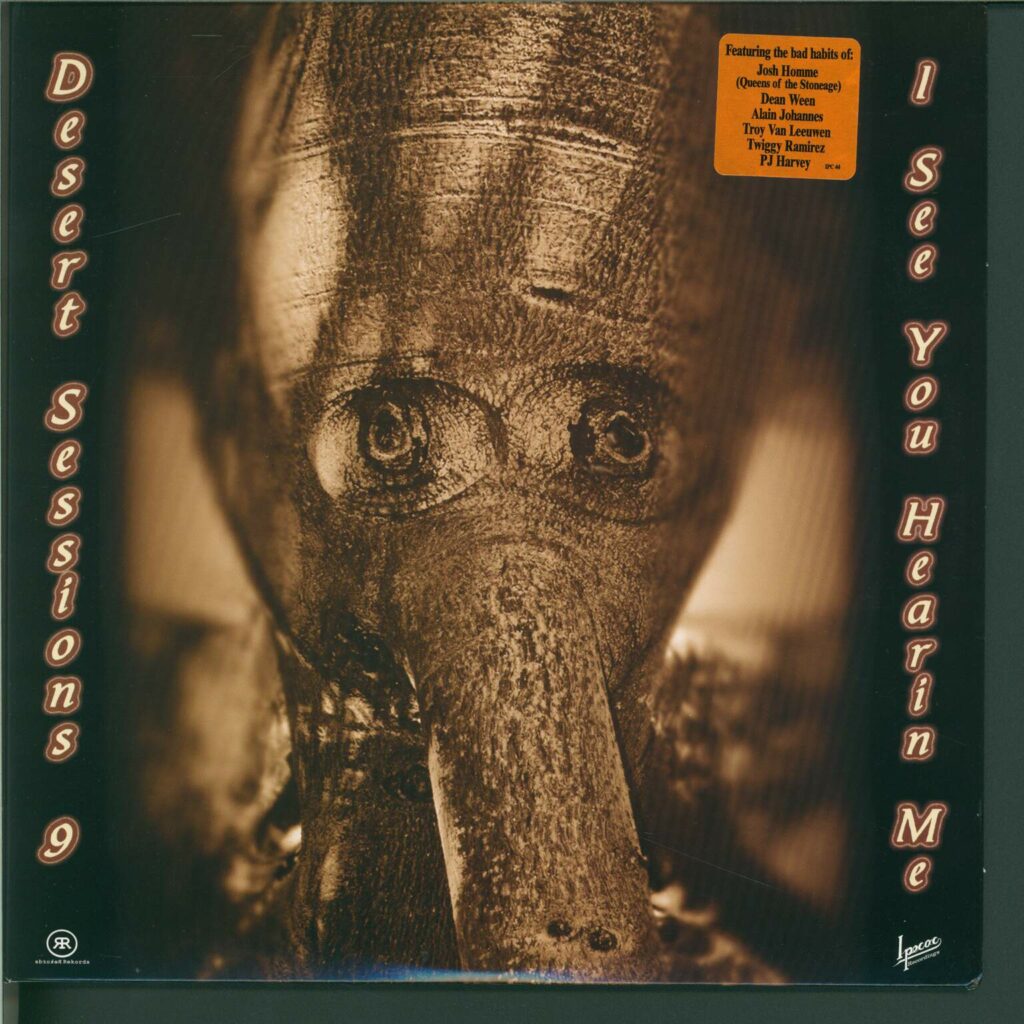 The Desert Sessions-9 I See You Hearing Me & 10 I Heart Disco-10" Vinyl-01