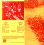 The Downsiders-All My Friends Are Fish-LP (Vinyl)-02