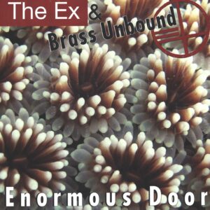 The Ex-Enormous Door-LP (Vinyl)-01