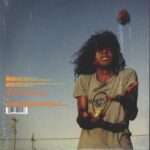 The Flaming Lips-Bad Days-10" Vinyl-02