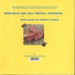 The Flaming Lips-Brainville-10" Vinyl-02