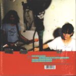 The Flaming Lips-This Here Giraffe-10" Vinyl-02