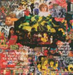 The Prisoners-Thewisermiserdemelza-LP (Vinyl)-02