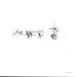 The Seconds-Y-LP (Vinyl)-01