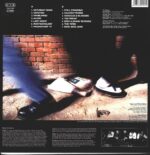 The Skoidats-The Times-LP (Vinyl)-02