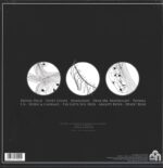 The Soft Hills-Chromatisms-LP (Vinyl)-02