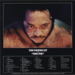 Thundercat-Drunk-10" Vinyl-02