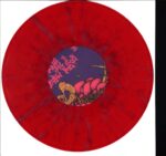 Torche-Chapter Ahead Being Fake-10" Vinyl-03