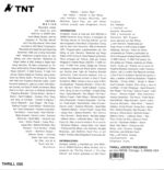 Tortoise-TNT-LP (Vinyl)-02