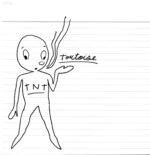 Tortoise-TNT-LP (Vinyl)-01
