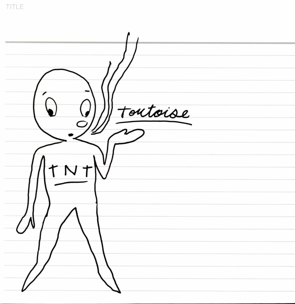 Tortoise-TNT-LP (Vinyl)-01