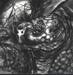 Tortuga-Tortuga-LP (Vinyl)-01