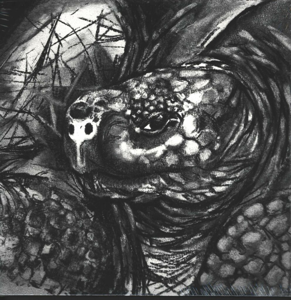 Tortuga-Tortuga-LP (Vinyl)-01