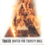 Tracer-Water For Thirsty Dogs-LP (Vinyl)-01