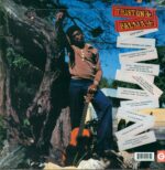 Tristan Palmer-Joker Smoker-LP (Vinyl)-02