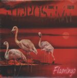 Turbostaat-Flamingo-LP (Vinyl)-01