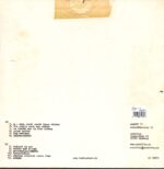 Turbostaat-Schwan-LP (Vinyl)-02