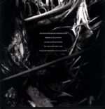 Ultha-Converging Sins-LP (Vinyl)-02