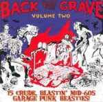 Various-Back From The Grave Volume 2-LP (Vinyl)-01