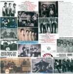 Various-Back From The Grave Volume 3-LP (Vinyl)-02