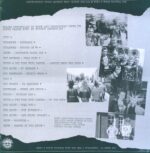 Various-Punk and Disorderly - No Future-LP (Vinyl)-02