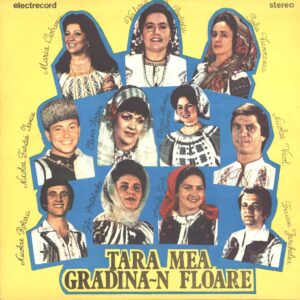 Various-Țara Mea