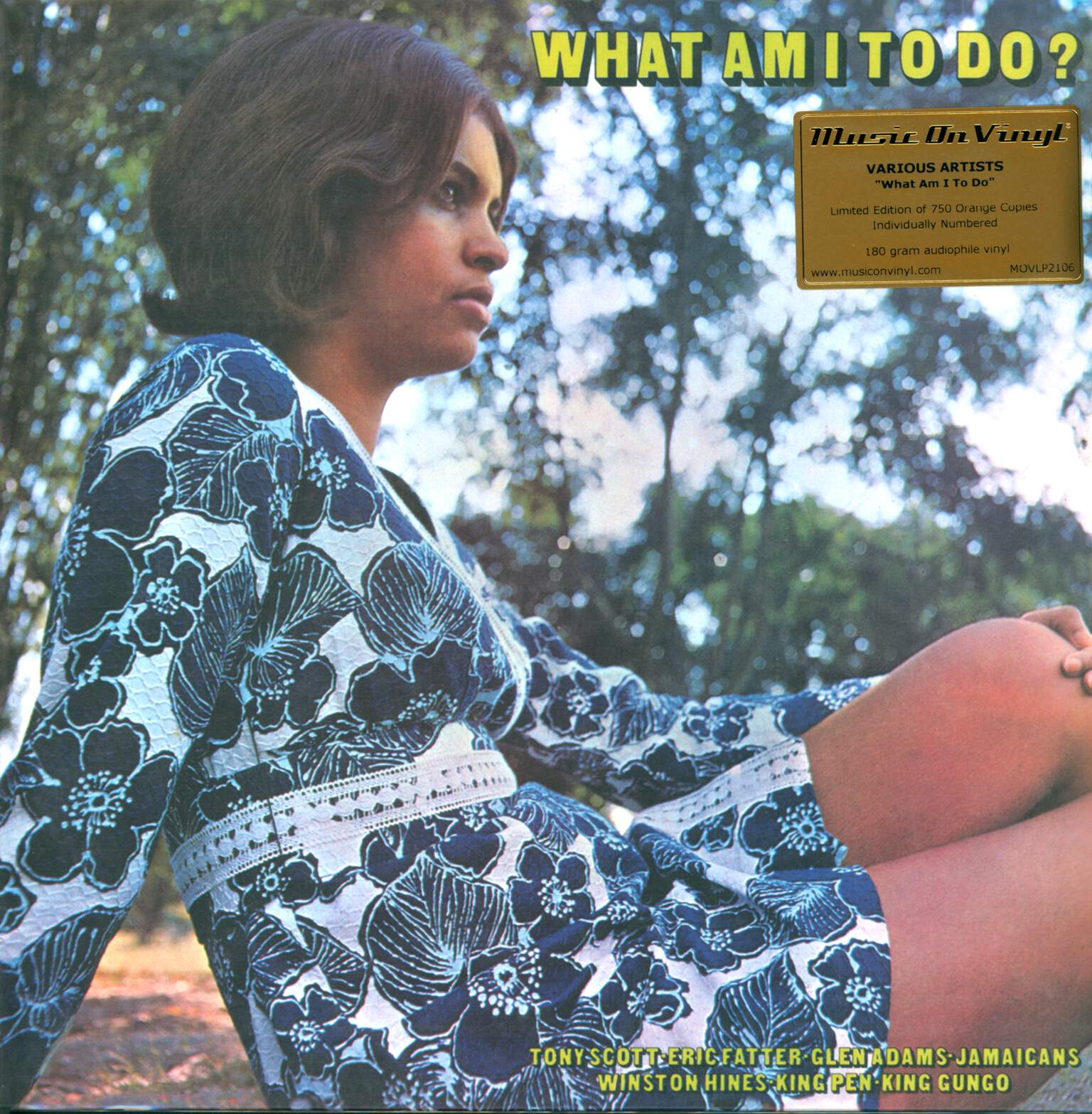 Various-What-Am-I-To-Do-LP-Vinyl Various-What Am I To Do-LP (Vinyl)-01