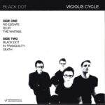 Vicious Cycle-Black Dot-10" Vinyl-02