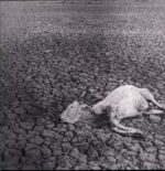 Vukari-Omnes Nihil-Mini LP (Vinyl)-01