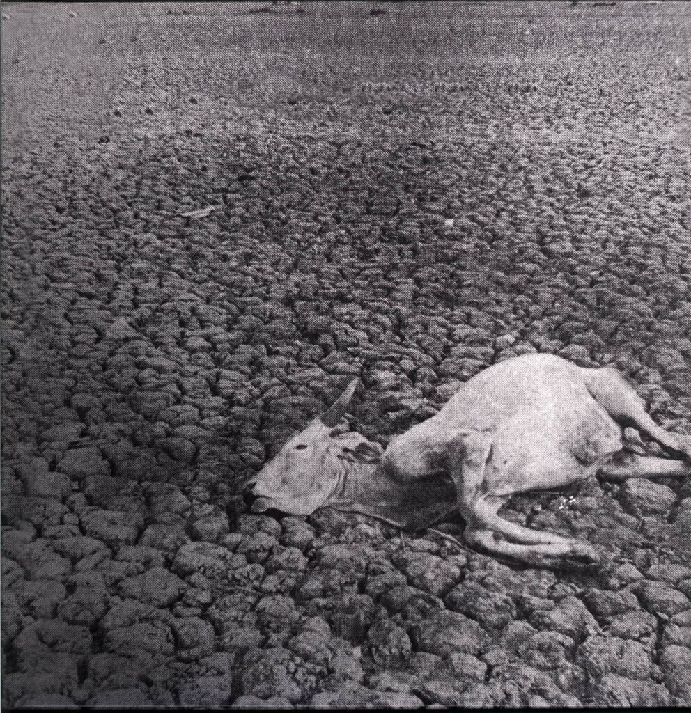 Vukari-Omnes Nihil-Mini LP (Vinyl)-01