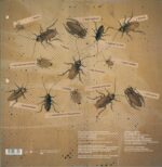 Ween-La Cucaracha-LP (Vinyl)-02