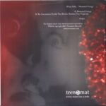 White Hills-Measured Energy-7" Single (Vinyl)-02