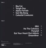 Wild Beasts-Boy King-LP (Vinyl)-02