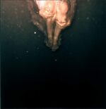 Wye Oak-Civilian-LP (Vinyl)-01