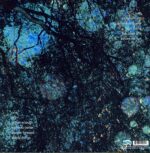 Yo La Tengo-Fade-LP (Vinyl)-02