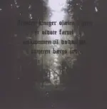 Afsky-Afsky-12" Maxi Single (Vinyl)-2