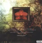 Alanis Morissette-Flavors Of Entanglement-LP (Vinyl)-2