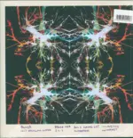 All Them Witches-Sleeping Through The War-LP (Vinyl)-2