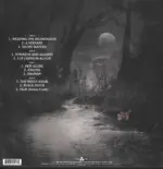 Amorphis-Silent Waters-LP (Vinyl)-2